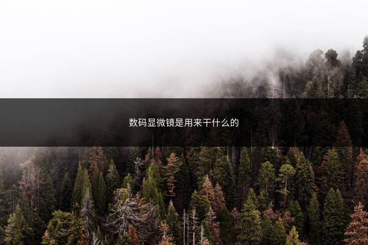 数码显微镜是用来干什么的