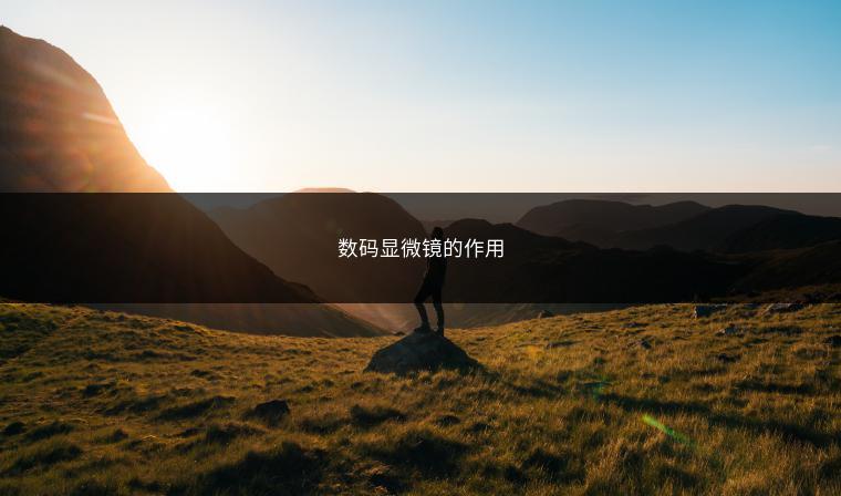 数码显微镜的作用