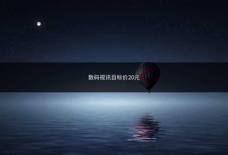数码视讯目标价20元