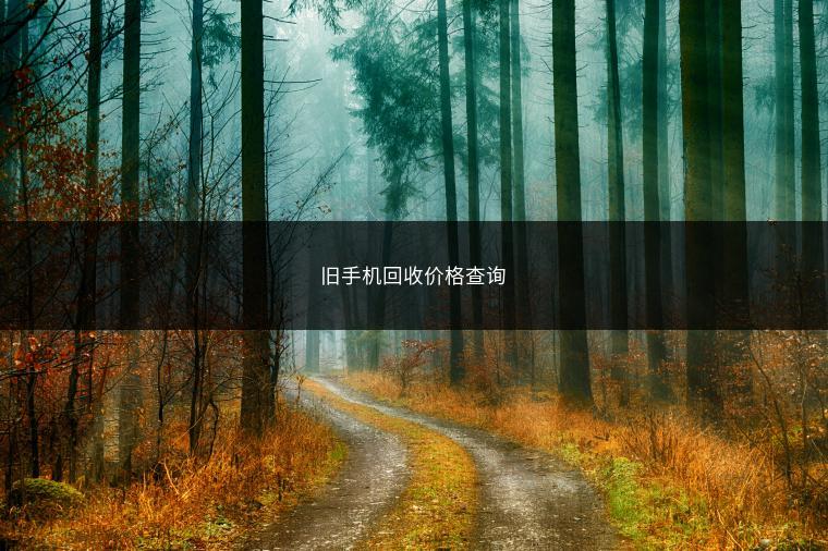旧手机回收价格查询