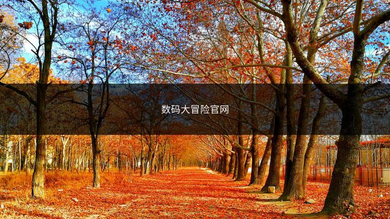 数码大冒险官网