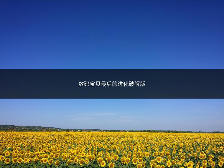 数码宝贝最后的进化破解版