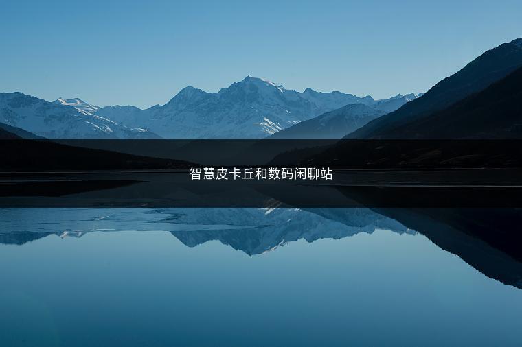 智慧皮卡丘和数码闲聊站