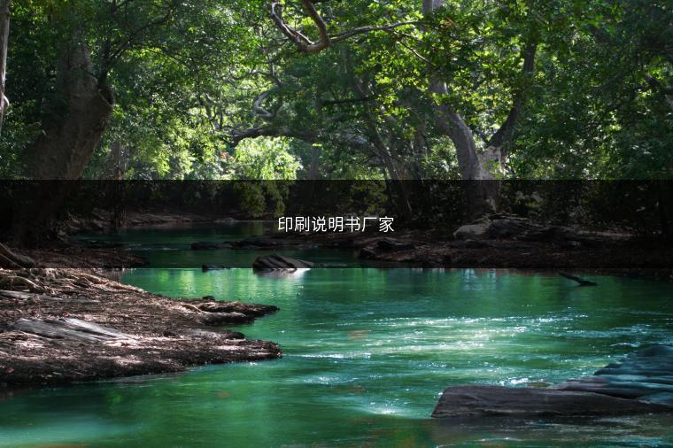 印刷说明书厂家