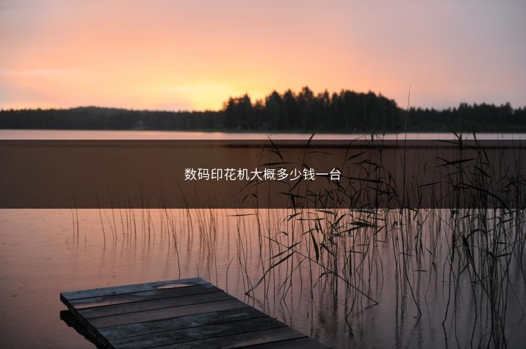 数码印花机大概多少钱一台