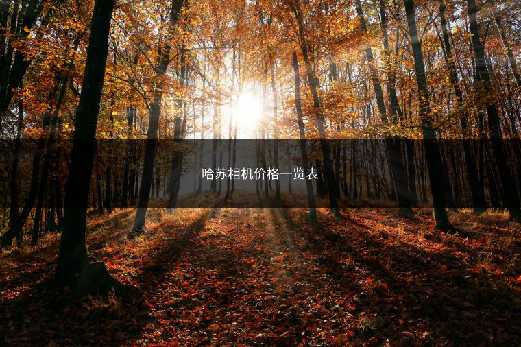 哈苏相机价格一览表