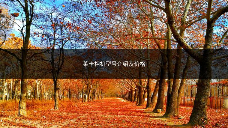莱卡相机型号介绍及价格