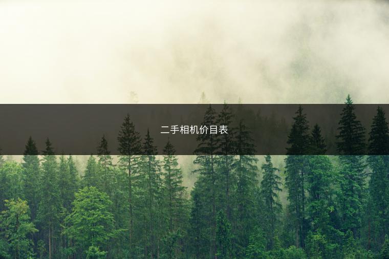 二手相机价目表