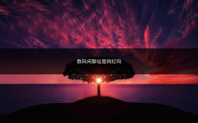数码闲聊站是网红吗