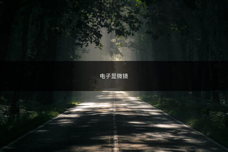 电子显微镜