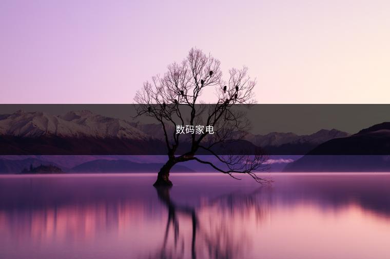 数码家电