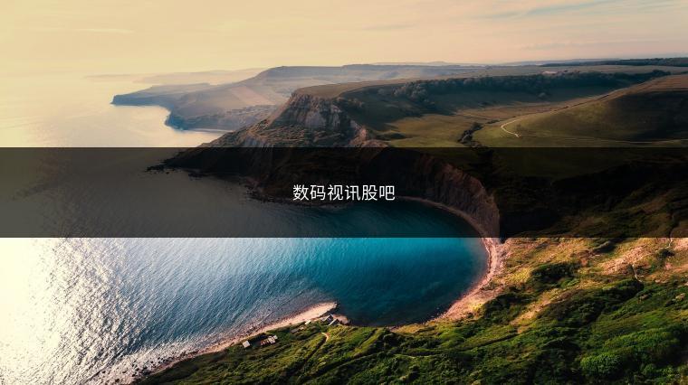 数码视讯股吧