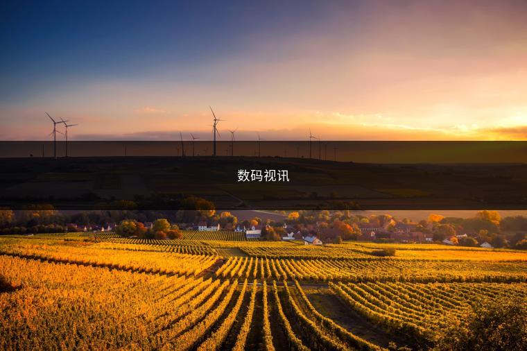 数码视讯