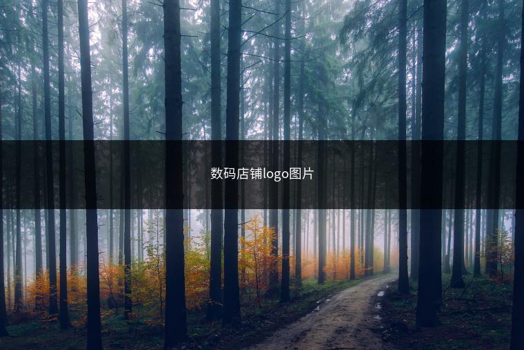 数码店铺logo图片