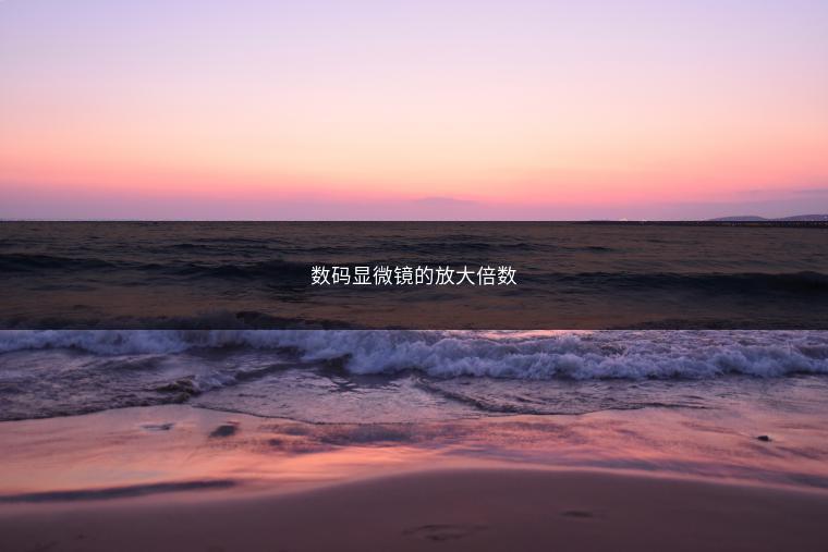 数码显微镜的放大倍数