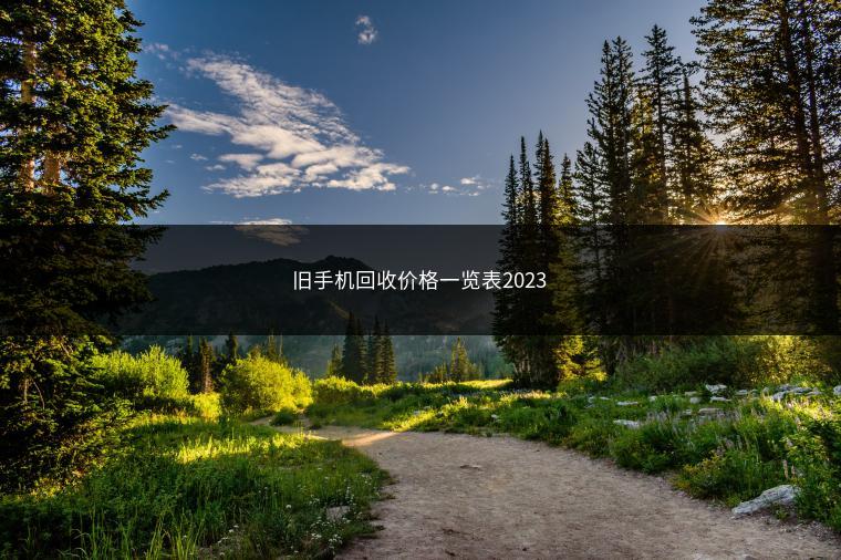 旧手机回收价格一览表2023
