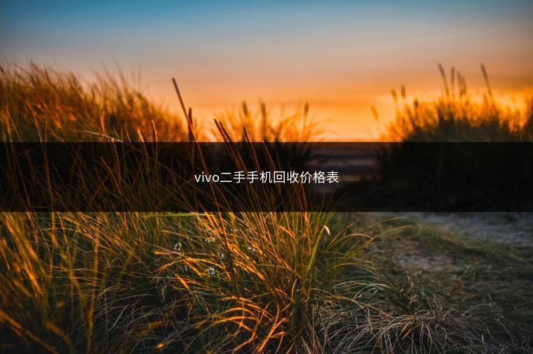 vivo二手手机回收价格表