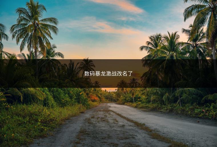 数码暴龙激战改名了
