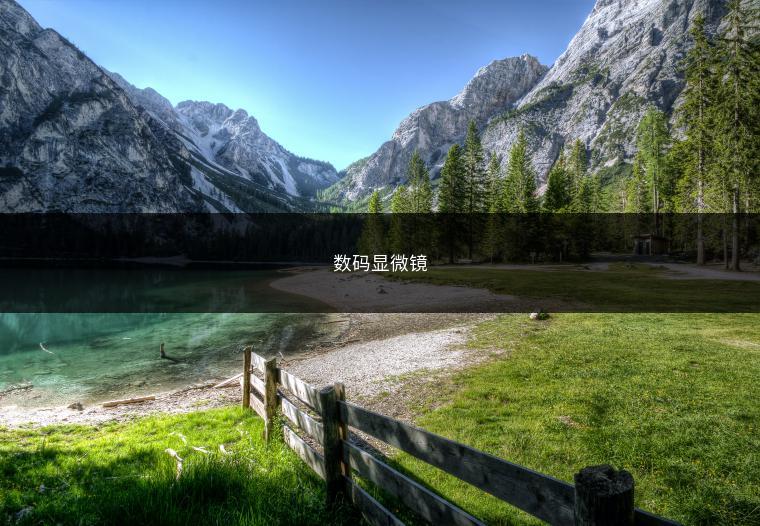 数码显微镜