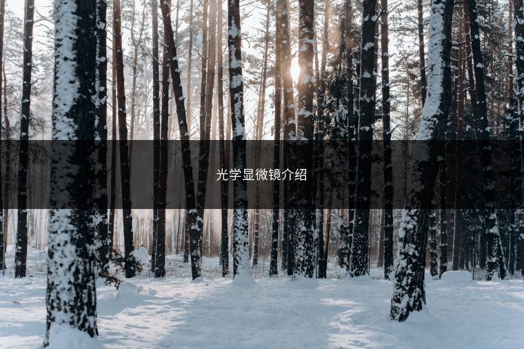 光学显微镜介绍