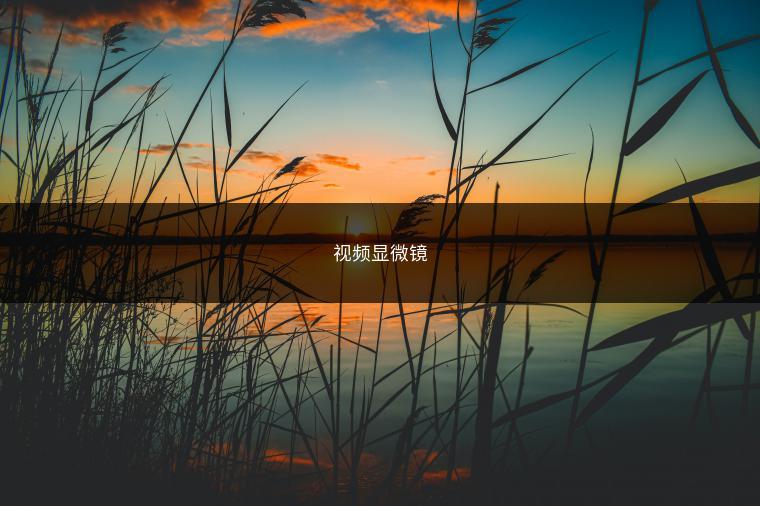 视频显微镜