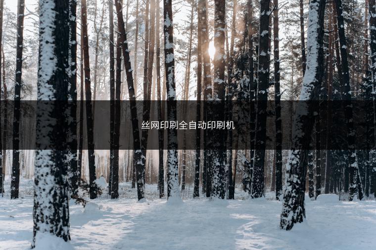 丝网印刷全自动印刷机