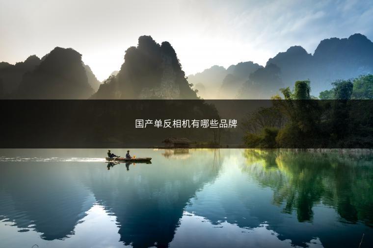 国产单反相机有哪些品牌