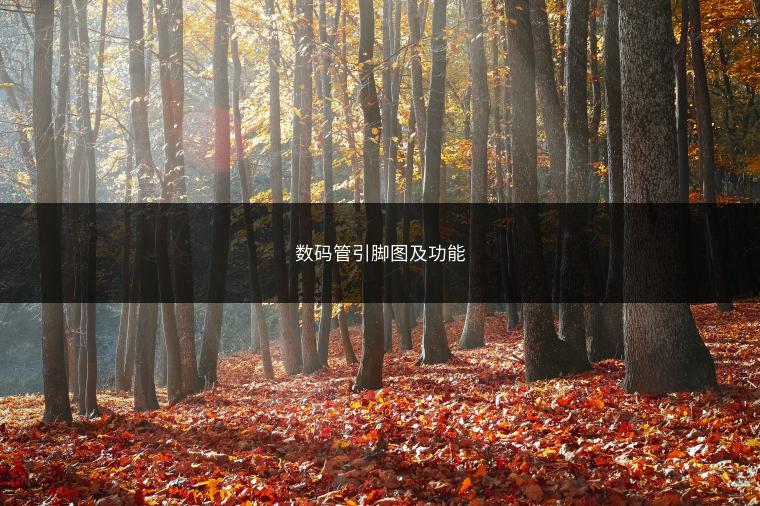 数码管引脚图及功能