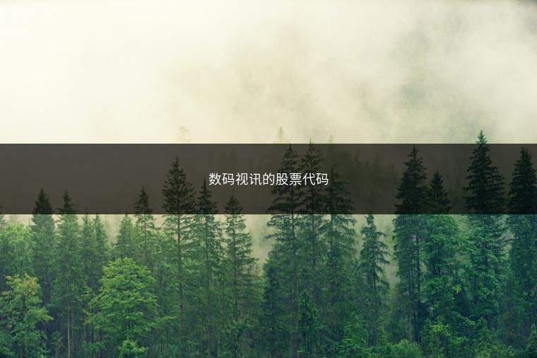 数码视讯的股票代码