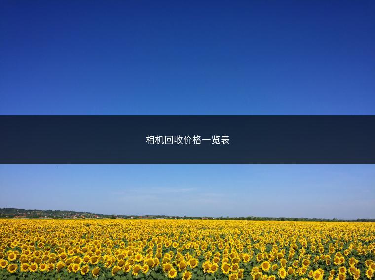 相机回收价格一览表