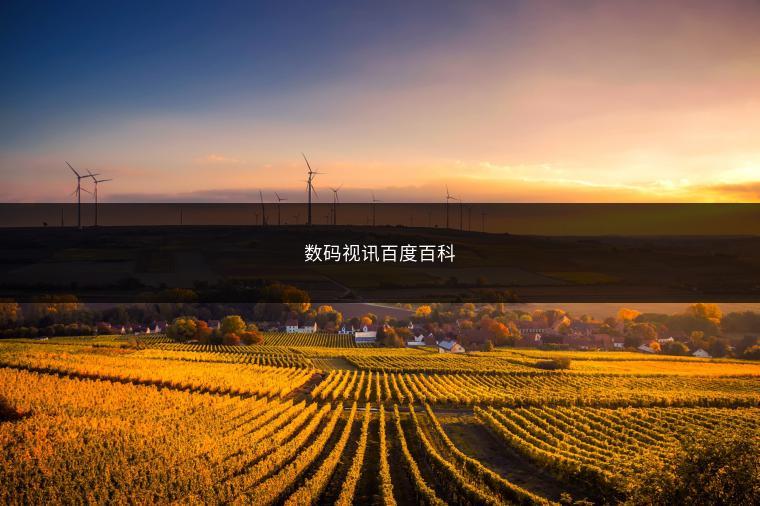 数码视讯百度百科