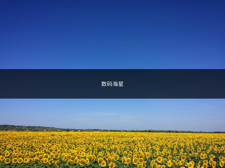 数码海星