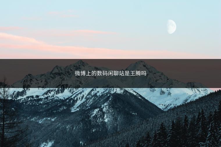 微博上的数码闲聊站是王腾吗