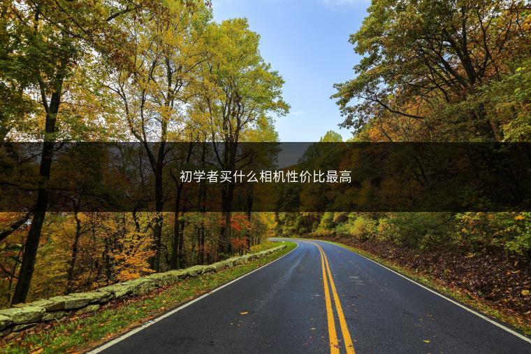 初学者买什么相机性价比最高
