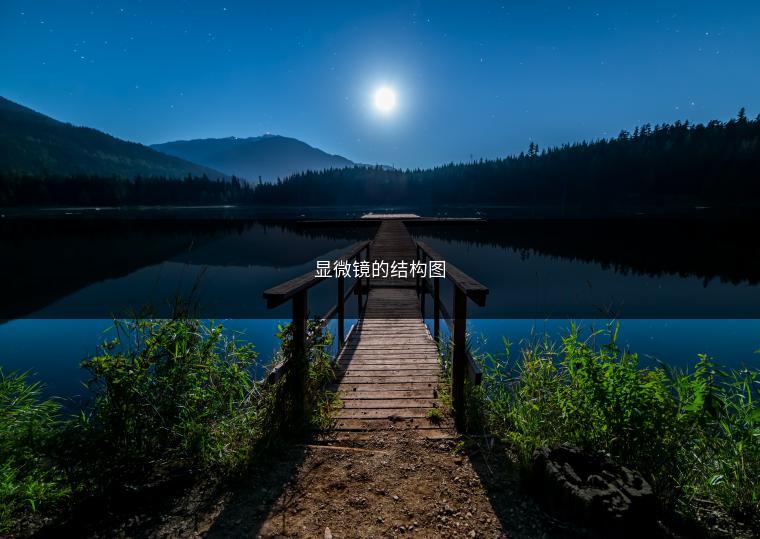 显微镜的结构图