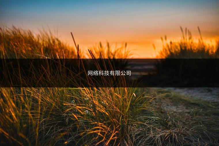 网络科技有限公司