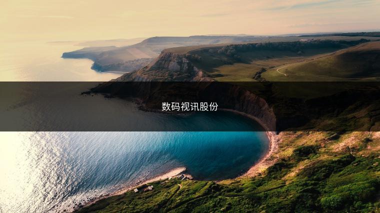 数码视讯股份