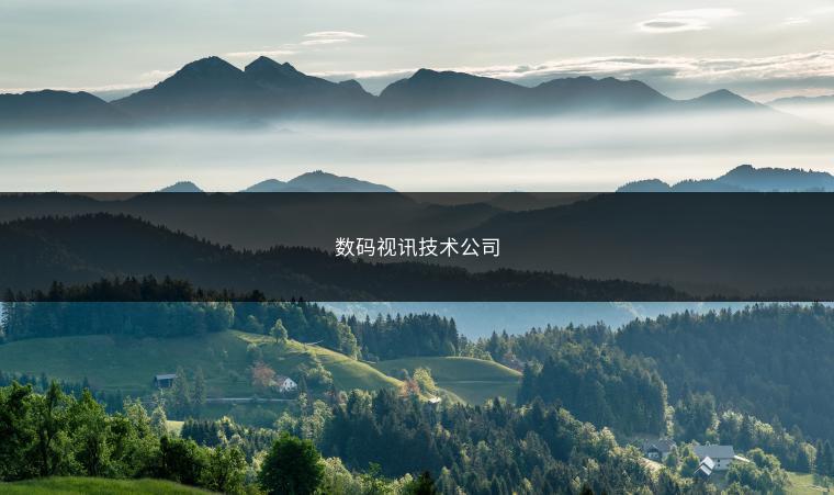 数码视讯技术公司