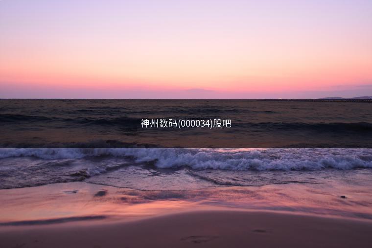 神州数码(000034)股吧