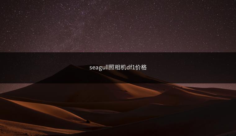 seagull照相机df1价格