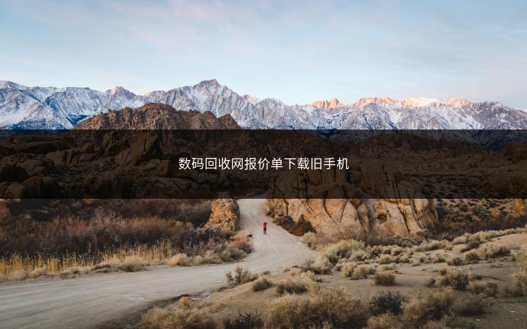 数码回收网报价单下载旧手机