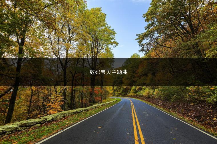数码宝贝主题曲