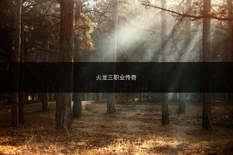 火龙三职业传奇