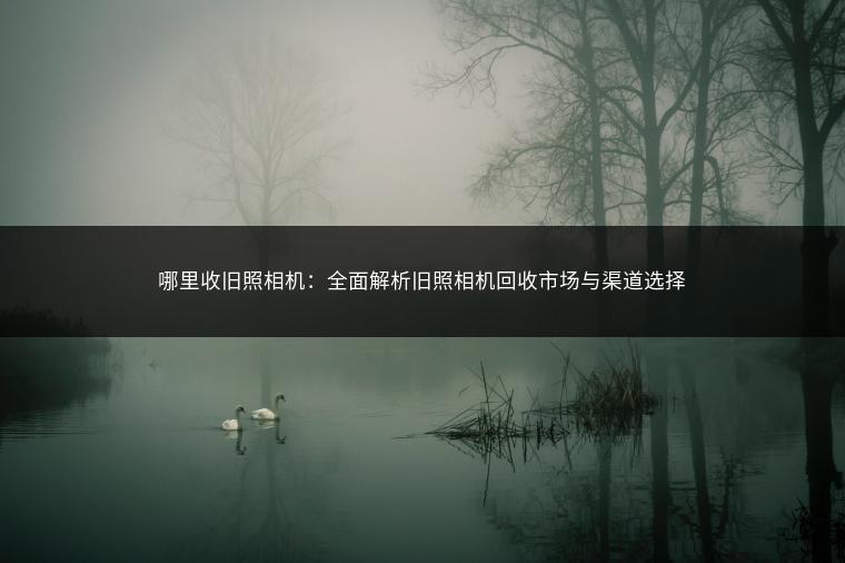 哪里收旧照相机：全面解析旧照相机回收市场与渠道选择