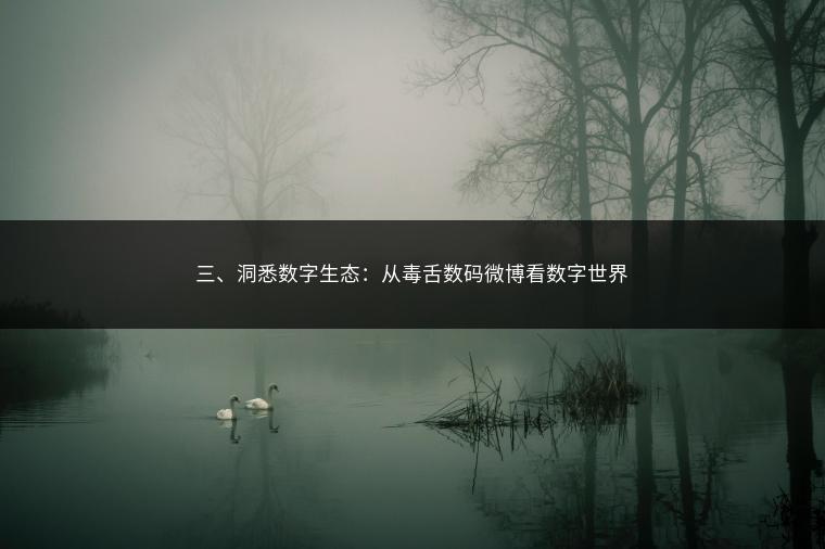 三、洞悉数字生态：从毒舌数码微博看数字世界