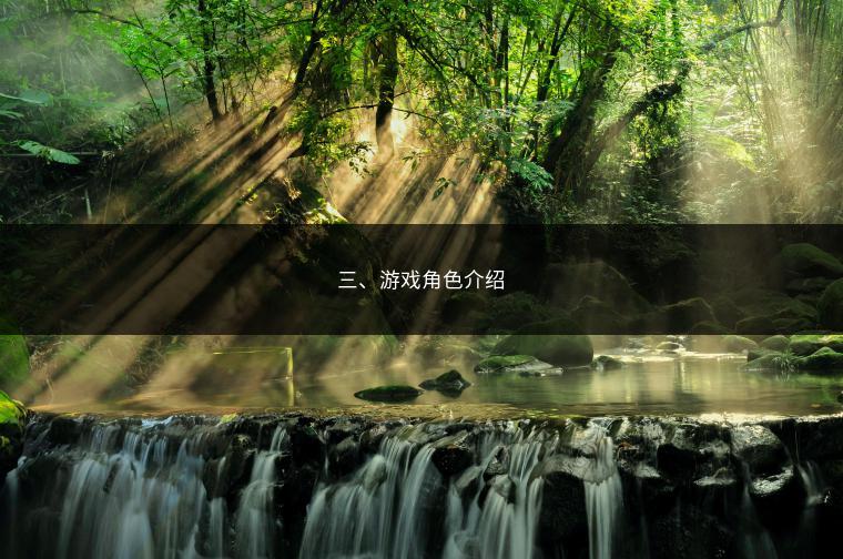 三、游戏角色介绍