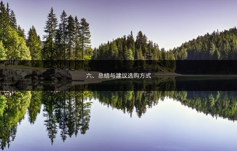 六、总结与建议选购方式