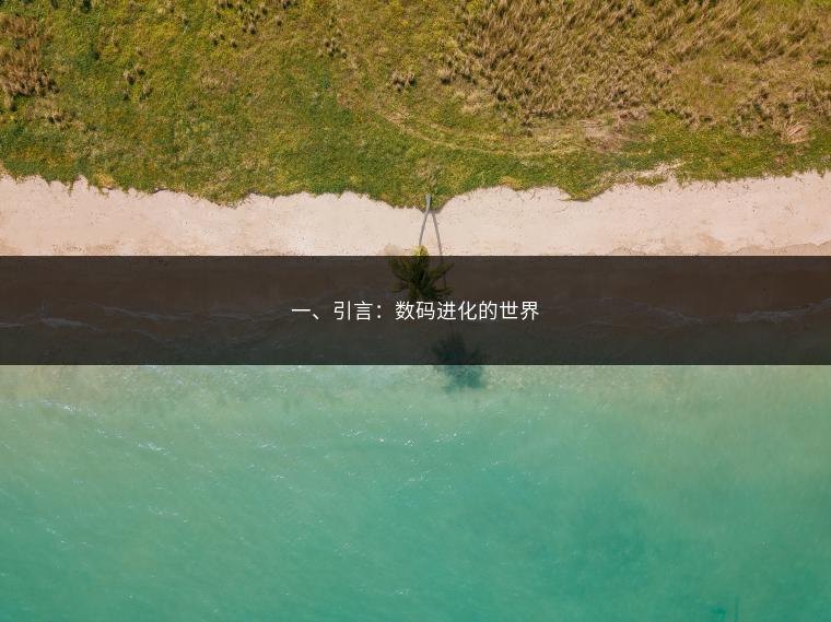 一、引言：数码进化的世界