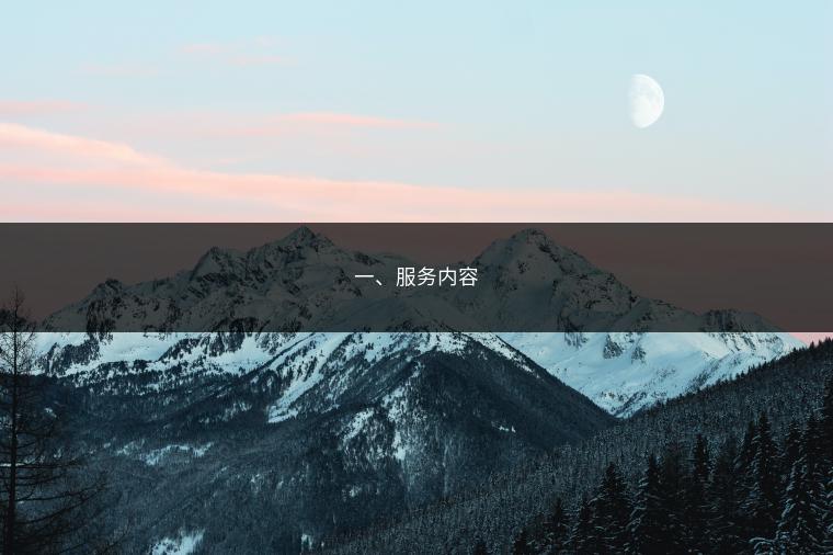 一、服务内容