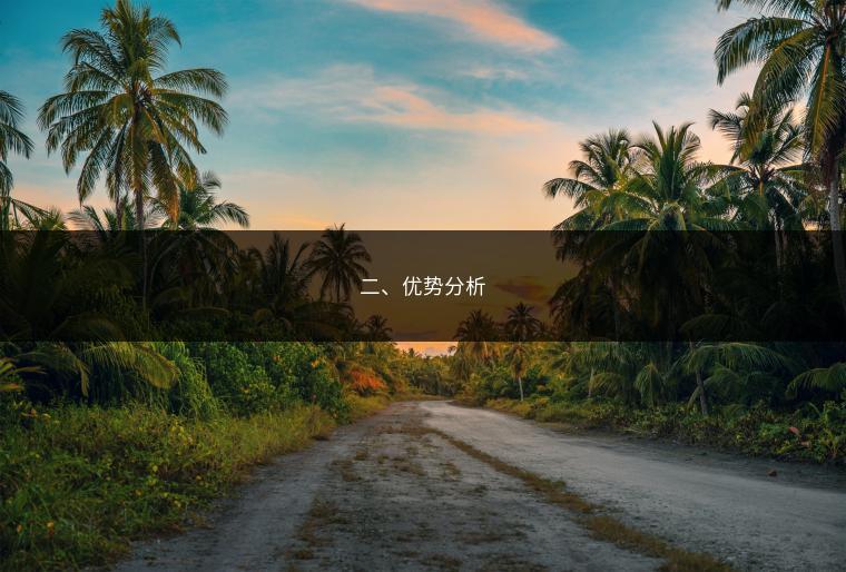 二、优势分析